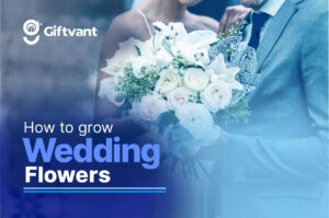 How to grow wedding flowers